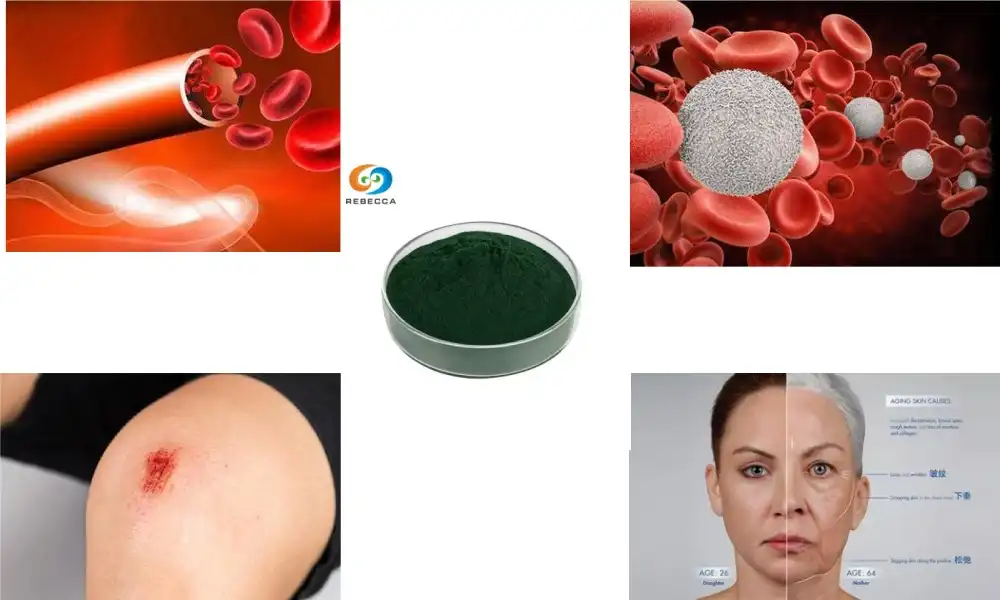 What is the purpose of chlorophyll? What is the purpose of chlorophyll?